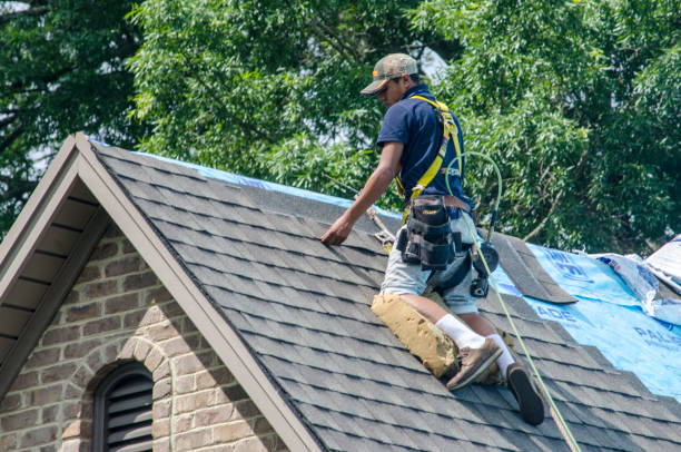 Roof Waterproofing Services in Cibolo, TX